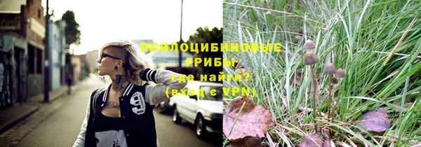 соль курить ск Лабытнанги
