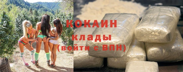 соль ск Абаза